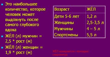 Величина жизненной емкости легких у женщин. Жизненная ёмкость лёгких