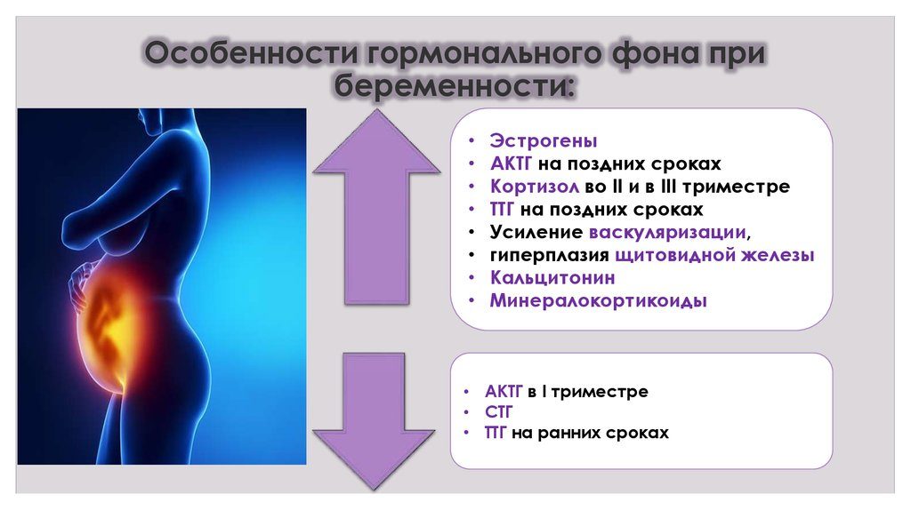 Гормональный фон после родов по месяцам. Гормональный сбой после родов