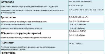 Влияние пролактина на зачатие: норма гормона для успешной беременности. Как пролактин влияет на зачатие