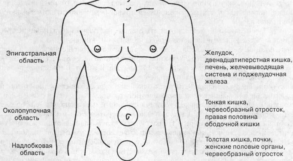 Эпигастральная область — что это такое и причины появления боли