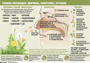 Как остановить чиханье народными средствами. Избавиться от потенциальных аллергенов и раздражителей. Какими могут быть последствия