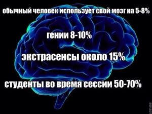 Человек использует свой мозг. На сколько процентов работает человеческий мозг