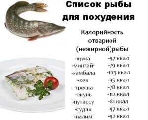 Рыба для похудения - список нежирных и полезных сортов. Рыба для диеты