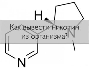 Как вывести никотин из организма в кратчайшие сроки. Как вывести никотин из организма