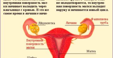 Что делать если месячные пришли не вовремя. Почему не идут месячные: причины и лечение состояний