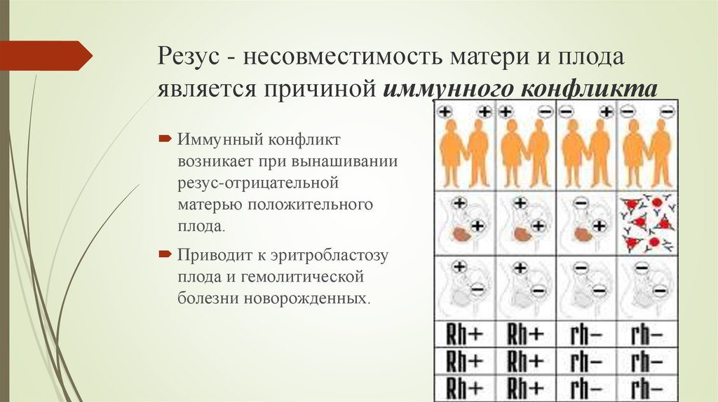 Физиологическая несовместимость. Несовместимость у партнёров при зачатии: причины и лечение