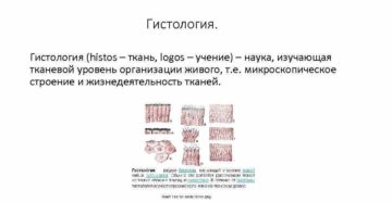 Учение о тканях (общая гистология). Наука, изучающая ткани, - гистология