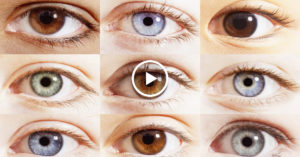 Как сделать глаза ярче в домашних условиях. Как может меняться цвет глаз