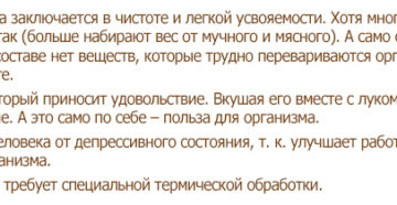 Влияние сала на организм человека. Чем полезно сало для организма человека