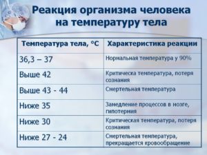 Почему в течение дня меняется температура тела. Причины повышения температуры без симптомов у взрослых. Температура тела у взрослых