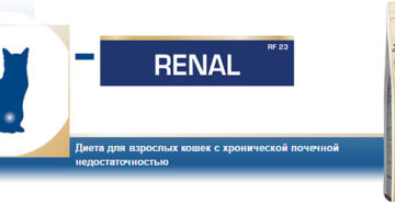 Чем кормить кота с почечной недостаточностью. Подбор корма для кошек с хронической почечной недостаточностью