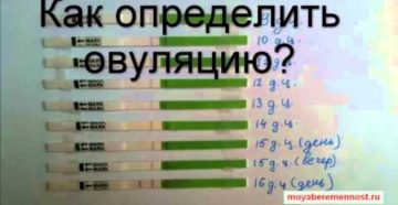 Как восстановить овуляцию в домашних условиях