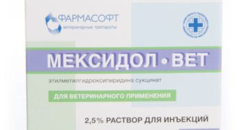 Мексидол для кошек инструкция по применению уколы. Мексидол-вет для собак и кошек. Инструкция по применению для собак