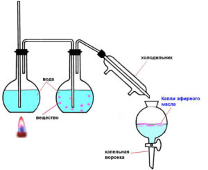 Оборудование для получения эфирных масел отгонкой с водяным паром. Изготовление ароматических эфирных масел в домашних и промышленных условиях