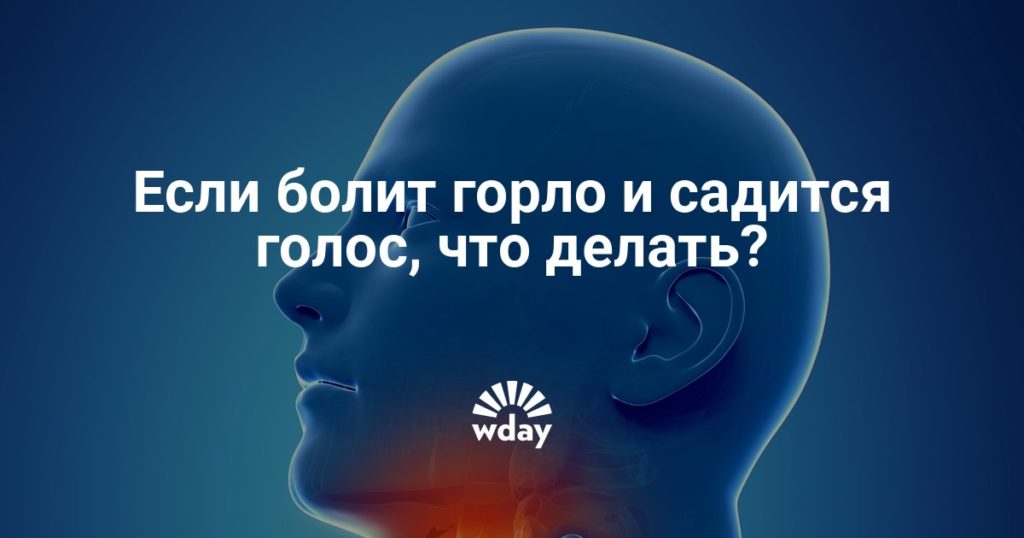 Сели связки пропал голос лечение. Сел голос: что делать, горло не болит