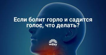 Сели связки пропал голос лечение. Сел голос: что делать, горло не болит