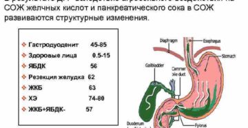 Лечение дуоденогастрального рефлюкса препараты. Способы лечения дуодено–гастрального рефлюкса (ДГР)