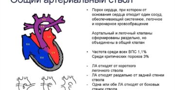 Общий артериальный ствол: описание, заболевания, лечение. Врожденные пороки сердца: общий артериальный ствол