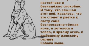 Что надо говорить когда воют собаки. Воет собака дома: к чему это? Приметы почему воет собака