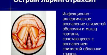 Инфекционный ларинготрахеит собак. Ларинготрахеит — воспаление гортани и трахеи у собак Прочие предрасполагающие факторы