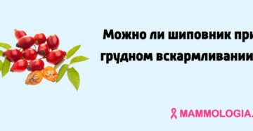 Отвар шиповника после родов. Польза для организма кормящей мамы. Компот из шиповника