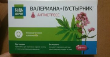 Успокоительное таблетки пустырника валерианы. Валерьянка или пустырник: что лучше? Как правильно пить валерьянку и пустырник