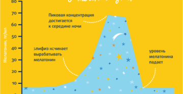 Сон до 12 ночи лучше. Самый лучший сон. Какой он? Солнечный или лунный свет не влияет на процессы в организме