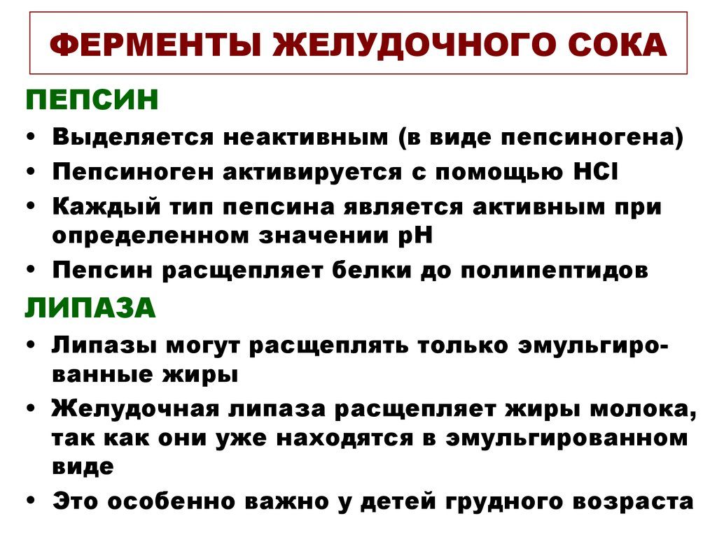 Ферменты в желудке. ? Ферменты желудка человека: как расщепляют, чем являются