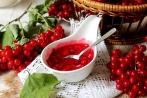 Целебная ягода калина - польза и вред народных рецептов! Калина: польза и вред для здоровья человека
