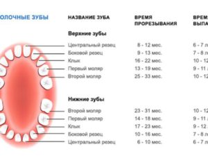 У детей все зубы меняются или нет. Когда меняются клыки у детей на постоянные. Когда прорезываются зубы