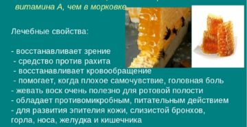 Что дает если поспать на пчелином воске. Пчелиный воск: польза и вред для организма человека, применение в домашних условиях