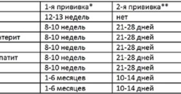 Календарь вакцинации и необходимые документы щенка йоркширского терьера. Когда делать прививки йорку Йоркширский терьер прививки щенкам график с рождения