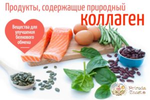 Природный коллаген для кожи. В каких продуктах содержится коллаген для кожи