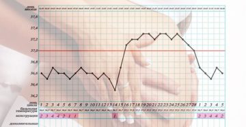 Как меняется базальная температура перед месячными. Какая должна быть ректальная температура перед месячными. Понятие базальной температуры