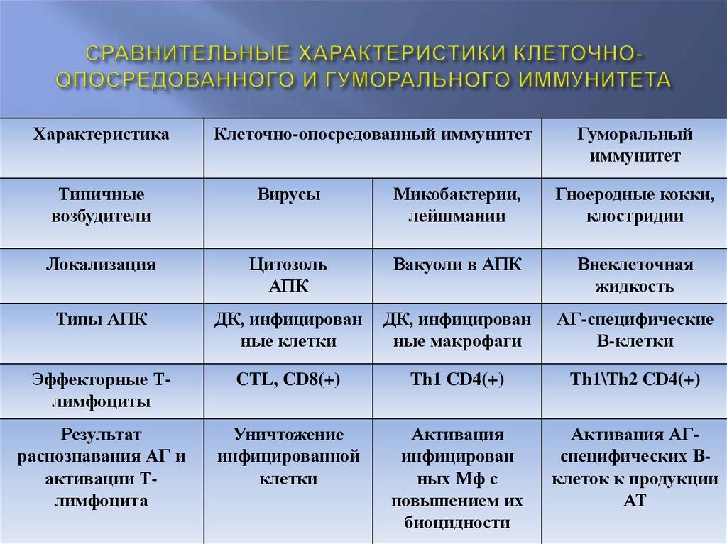 Гуморальный и клеточный иммунитет:особенности и отличия