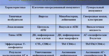 Гуморальный и клеточный иммунитет:особенности и отличия