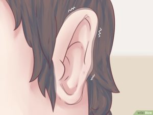 Как шевелить ушами и почему это полезно? Эндогимнастика или о пользе умения двигать ушами