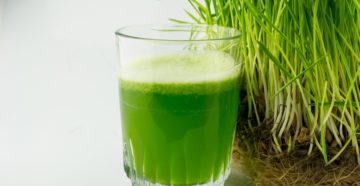 Витграсс (Wheat Grass): польза и вред, соки, как вырастить? Настолько ли полезен витграсс как о нем говорят