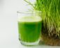 Витграсс (Wheat Grass): польза и вред, соки, как вырастить? Настолько ли полезен витграсс как о нем говорят