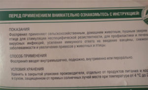 Фоспренил для собак: инструкция, применение, отзывы. Фоспренил инструкция по применению Срок годности и условия хранения