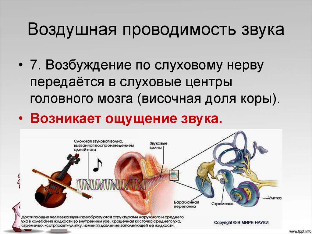 Воздушная проводимость звука. Могут ли навредить слуху