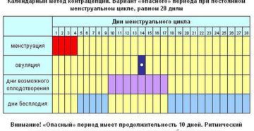 Как высчитать безопасные дни при регулярном цикле. Какие дни считаются самыми опасными для зачатия