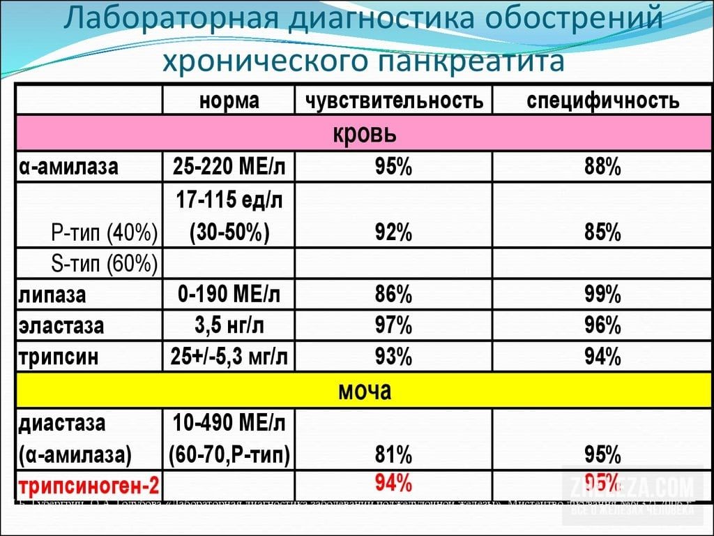 Какой должна быть диастаза в норме. Показания к анализу на диастазу. Сбор и сдача урины