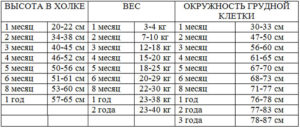 Вес и рост щенка немецкой овчарки по месяцам. Вес щенков немецкой овчарки по месяцам. Как выбрать и чем кормить щенка немецкой овчарки