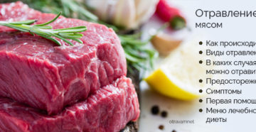 Почему возникает отравление мясом. Несвежее мясо, симптомы и признаки отравления Отравление вареным мясом