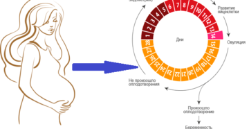 Как быстро восстанавливается менструационный цикл после родов. Как восстанавливается менструальный цикл после родов