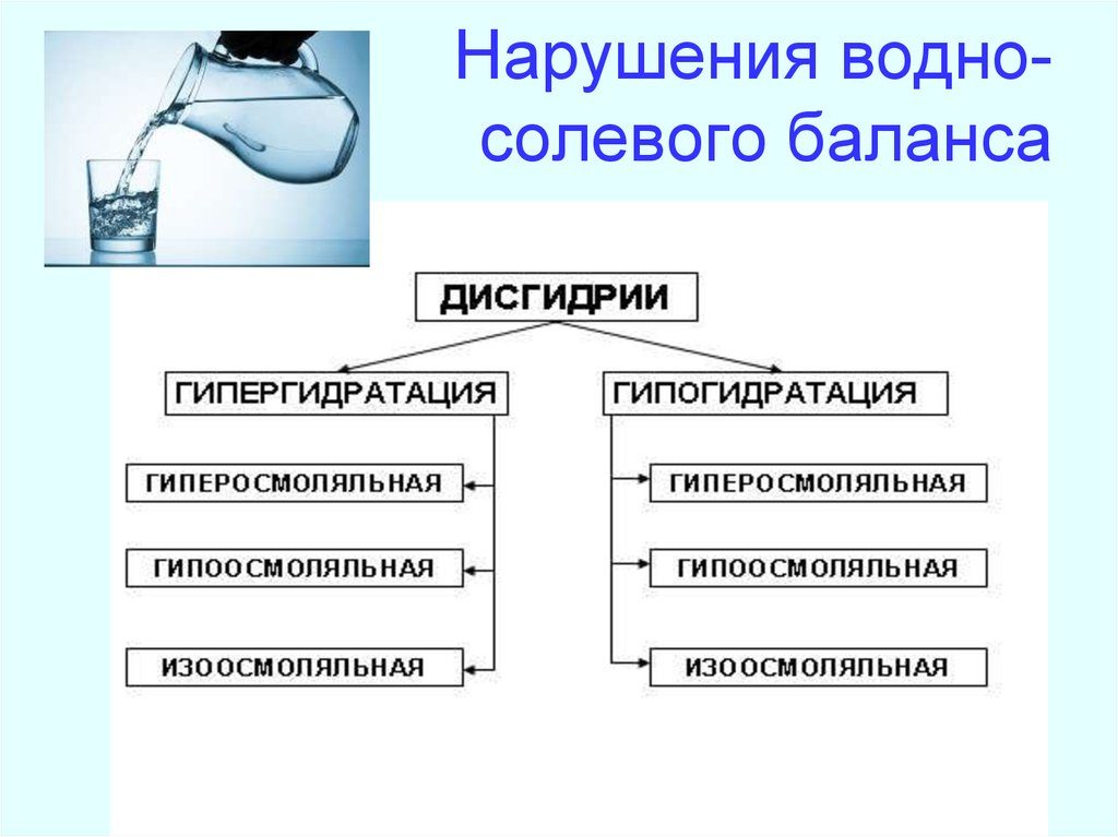 Водно солевой баланс лечение в домашних условиях. Водно солевой баланс. Почему он? Осложнения при нарушении водно-солевого обмена