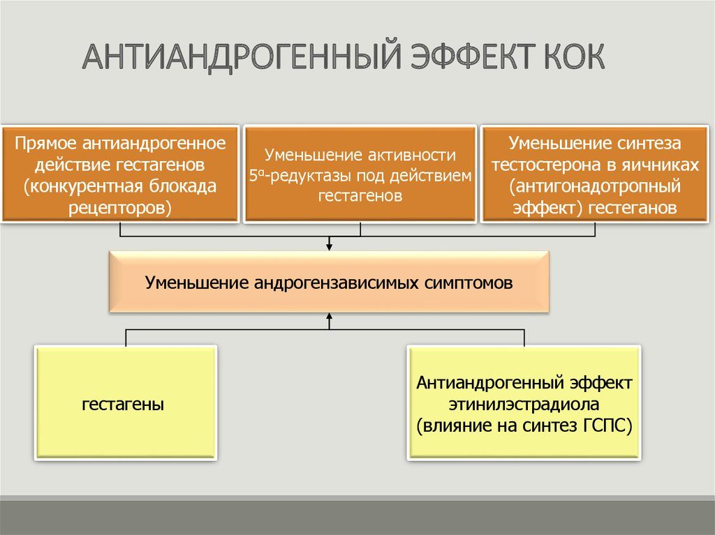 Что значит антиандрогенный эффект. Андрогенные препараты для женщин: обзор и рекомендации