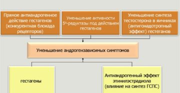 Что значит антиандрогенный эффект. Андрогенные препараты для женщин: обзор и рекомендации