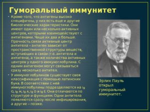 Кто из ученых открыл антитела и создал гуморальную теорию иммунитета. Гуморальный иммунитет